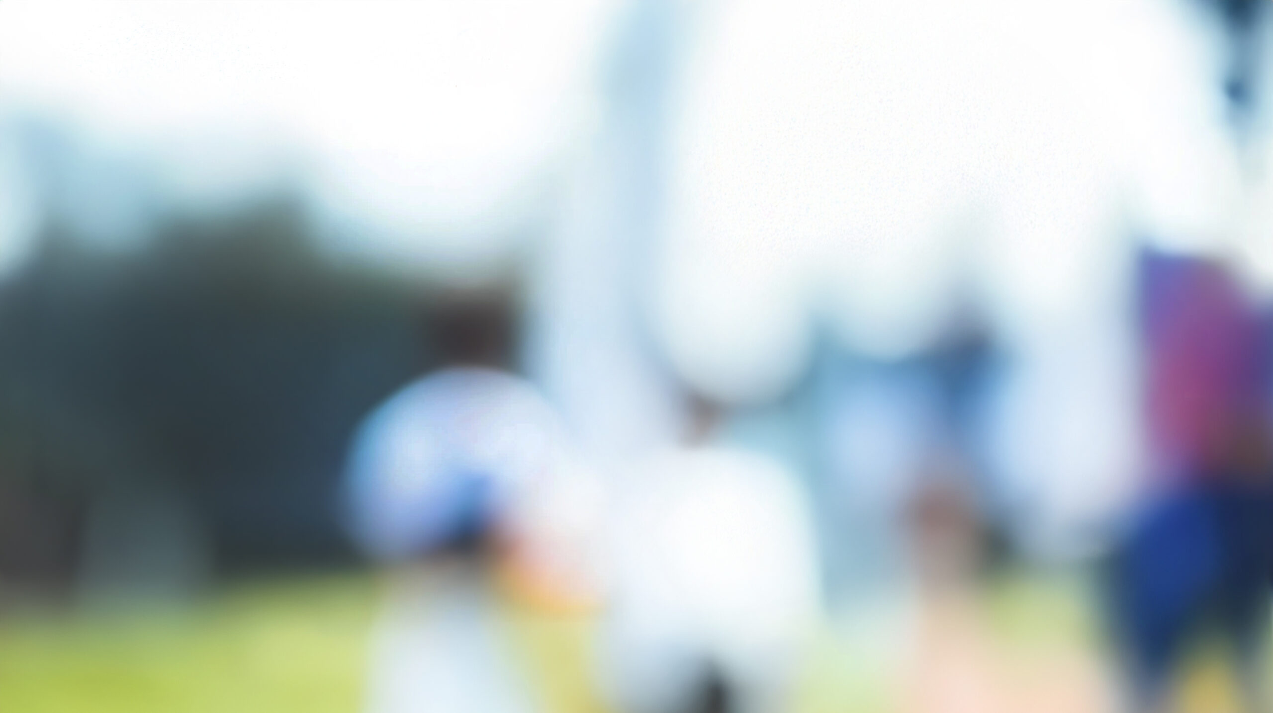 blurred image of cricket players on field