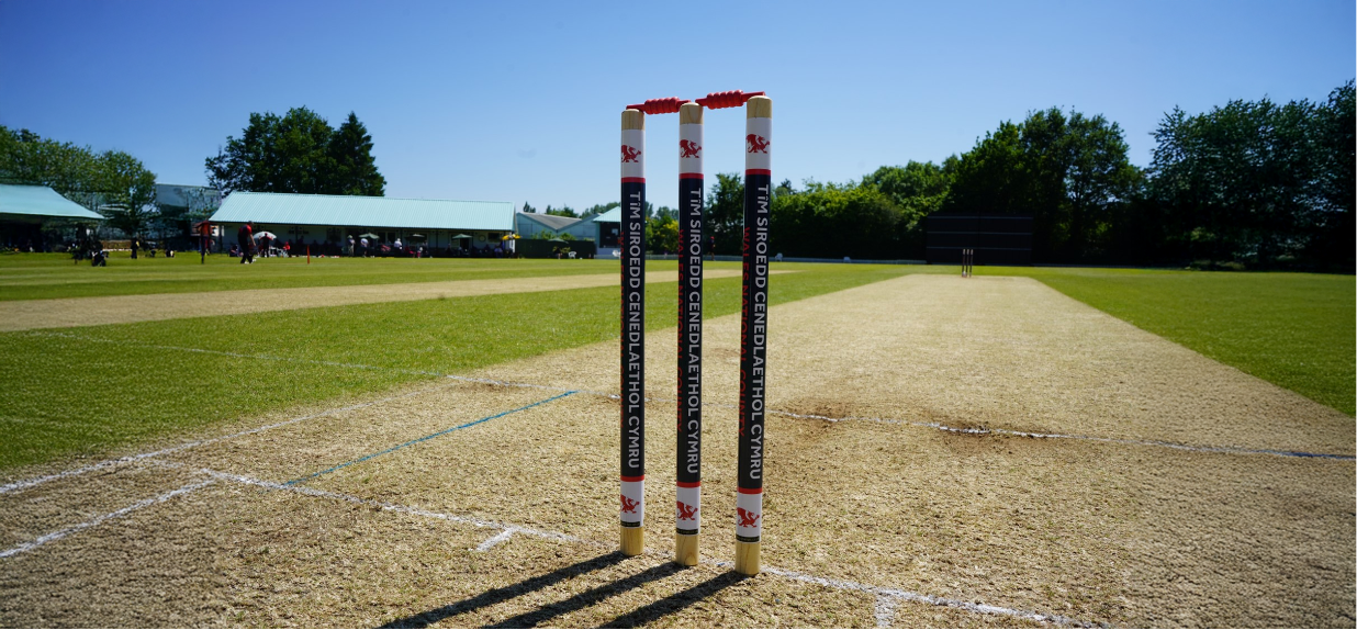 Image of a wicket